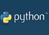 python logo