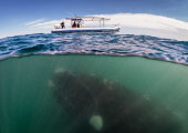 Are Metastability Monsters Lurking Beneath the Surface?